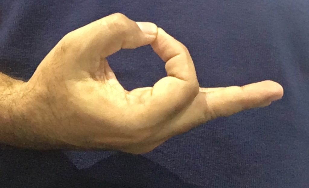 Gyaana mudra