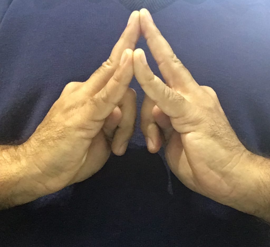 shakti mudra