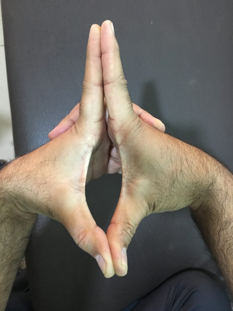 uttarabodhi mudra